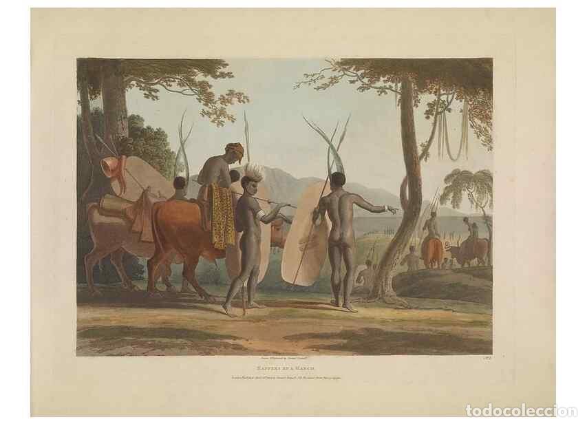 Sammeln von Zeitschriften und Zeitungen: Reproducci&oacute;n/Reproduction 49752707088: [African scenery and animals]. London,1804-05. - Daniell, Sam