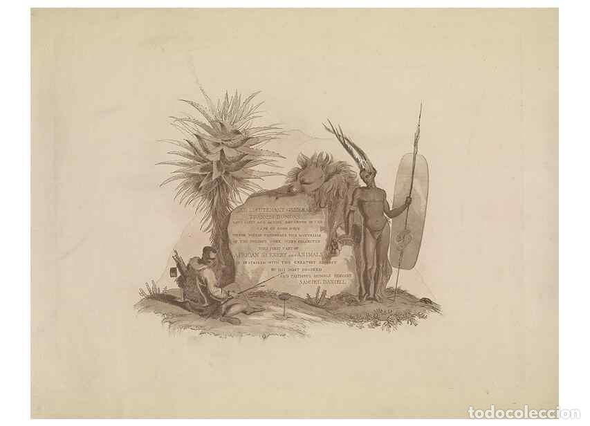 Coleccionismo de Revistas y Peri&oacute;dicos: Reproducci&oacute;n/Reproduction 49753241206: [African scenery and animals]. London,1804-05. - Daniell, Sam