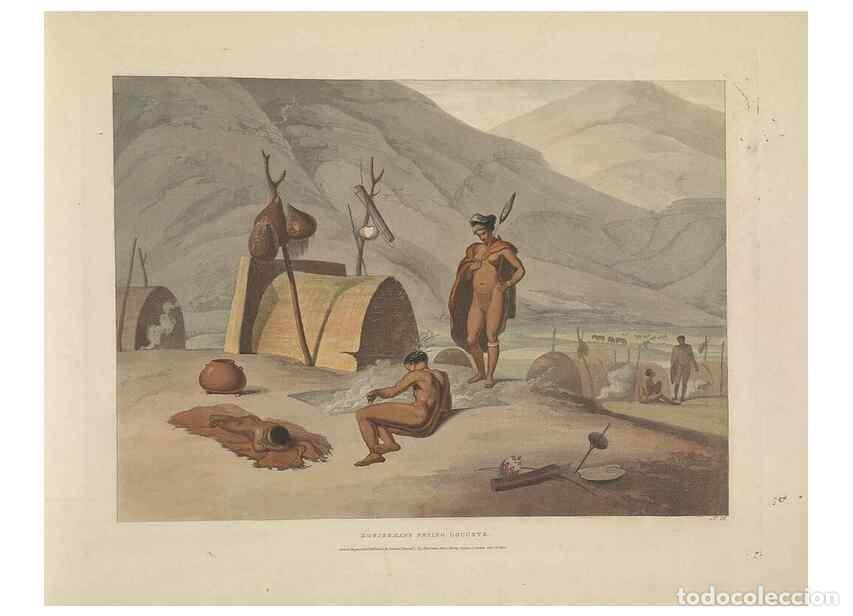 Colecionismo de Revistas e Jornais: Reproducci&oacute;n/Reproduction 49753247751: [African scenery and animals]. London,1804-05. - Daniell, Sam