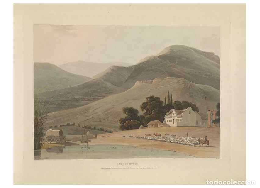 Collection Magazines and Newspapers: Reproducci&oacute;n/Reproduction 49753245231: [African scenery and animals]. London,1804-05. - Daniell, Sam