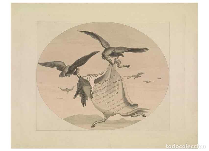Colecionismo de Revistas e Jornais: Reproducci&oacute;n/Reproduction 49752705513: [African scenery and animals]. London,1804-05. - Daniell, Sam