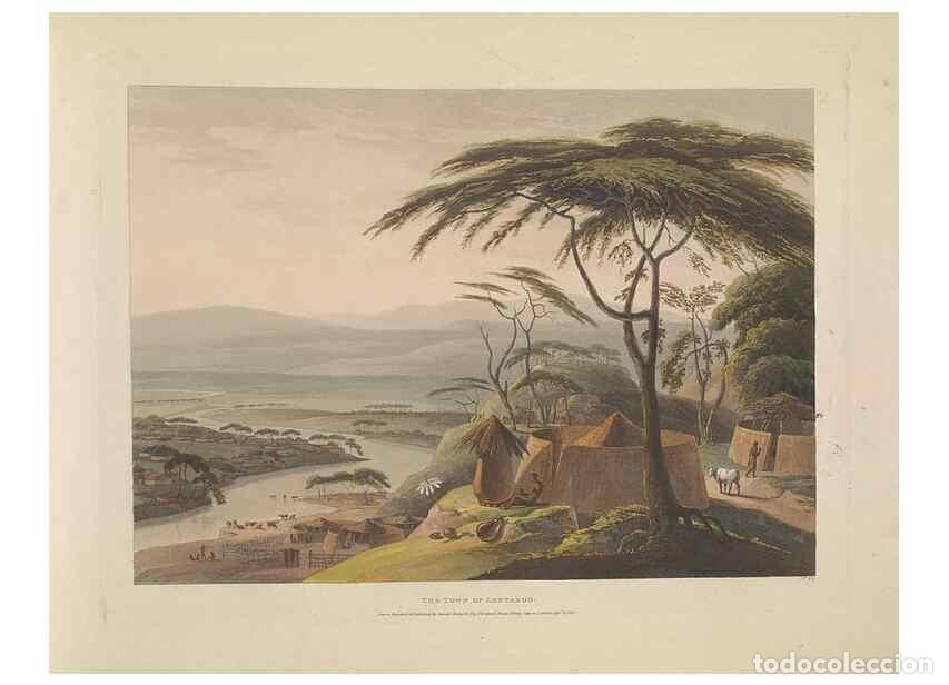 Colecionismo de Revistas e Jornais: Reproducci&oacute;n/Reproduction 49752711308: [African scenery and animals]. London,1804-05. - Daniell, Sam