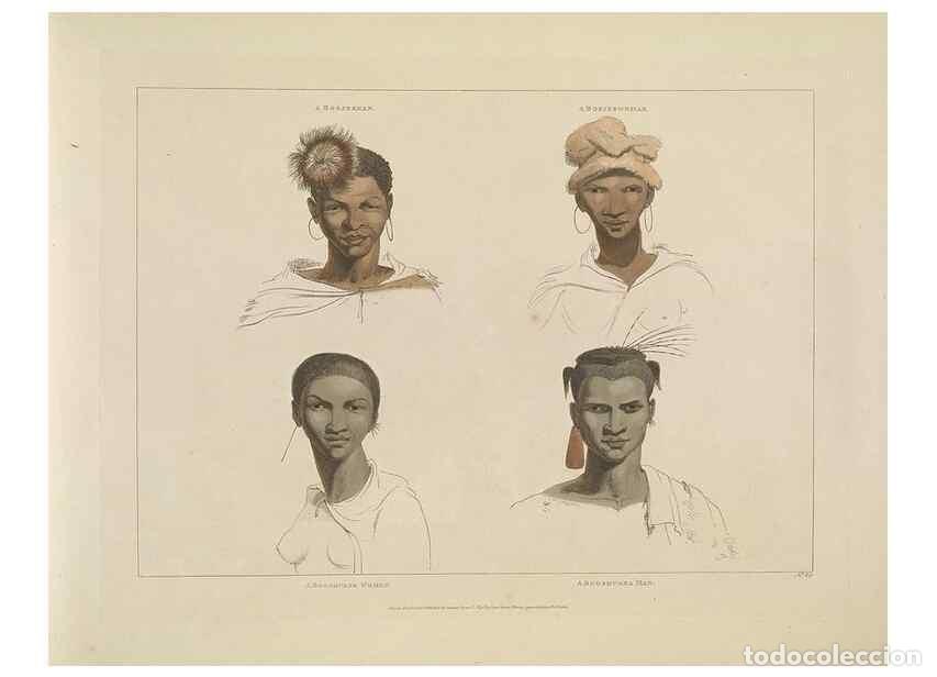 Sammeln von Zeitschriften und Zeitungen: Reproducci&oacute;n/Reproduction 49752712828: [African scenery and animals]. London,1804-05. - Daniell, Sam