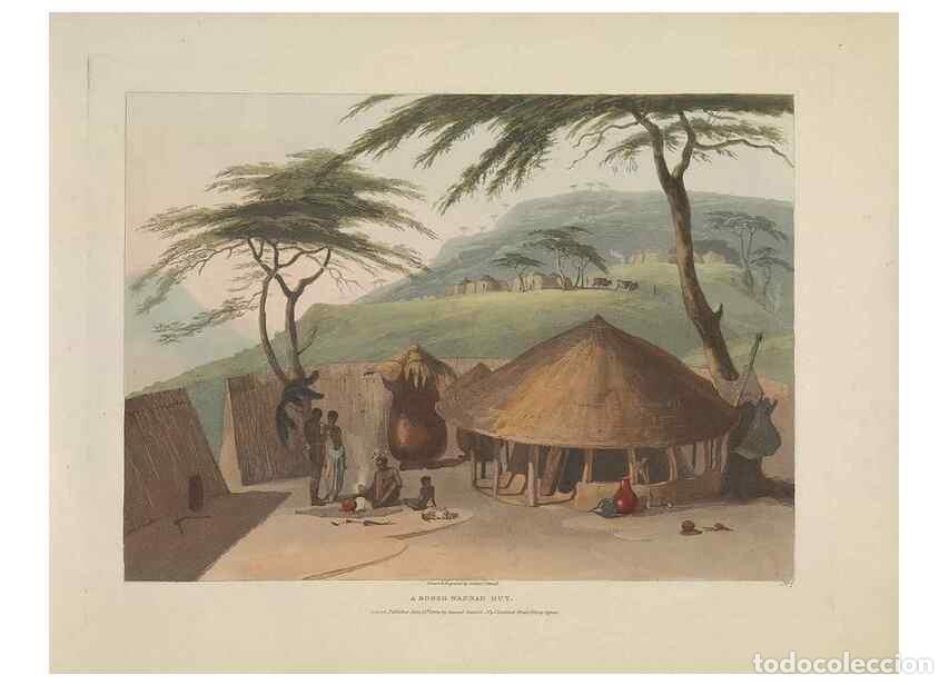 Collection Magazines and Newspapers: Reproducci&oacute;n/Reproduction 49753575787: [African scenery and animals]. London,1804-05. - Daniell, Sam