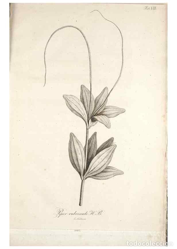 Colecionismo de Revistas e Jornais: Reproducci&oacute;n/Reproduction 49579205437: Horae physicae Berolinenses :. Bonnae :Adolphi Marcus,1820..