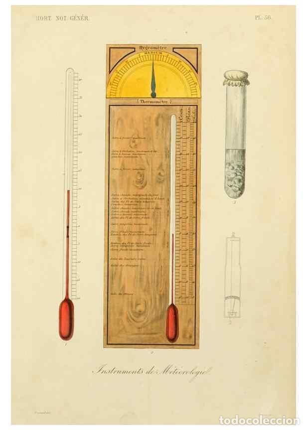 Collezionismo di Riviste e Giornali: Reproducci&oacute;n/Reproduction 49583710016: Le R&egrave;gne v&eacute;g&eacute;tal;. Paris,L. Gu&eacute;rin,1870-72.. - R&eacute;veil, O.