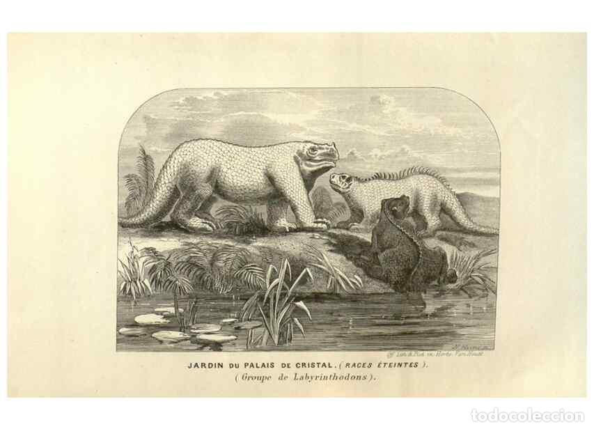 Sammeln von Zeitschriften und Zeitungen: Reproducci&oacute;n/Reproduction 49584122472: Flore des serres et des jardins de l'Europe. A Gand :chez Lou