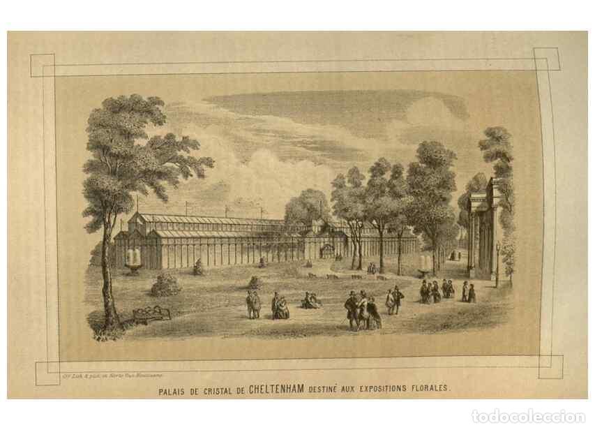 Colecionismo de Revistas e Jornais: Reproducci&oacute;n/Reproduction 49584061502: Flore des serres et des jardins de l'Europe. A Gand :chez Lou