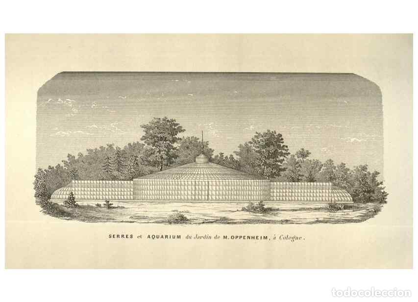 Colecionismo de Revistas e Jornais: Reproducci&oacute;n/Reproduction 49584073557: Flore des serres et des jardins de l'Europe. A Gand :chez Lou