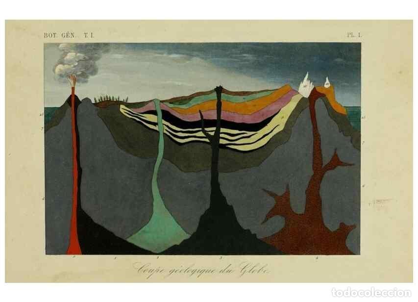 Collection Magazines and Newspapers: Reproducci&oacute;n/Reproduction 49583426872: Le R&egrave;gne v&eacute;g&eacute;tal;. Paris,L. Gu&eacute;rin,1870-72.. - R&eacute;veil, O.