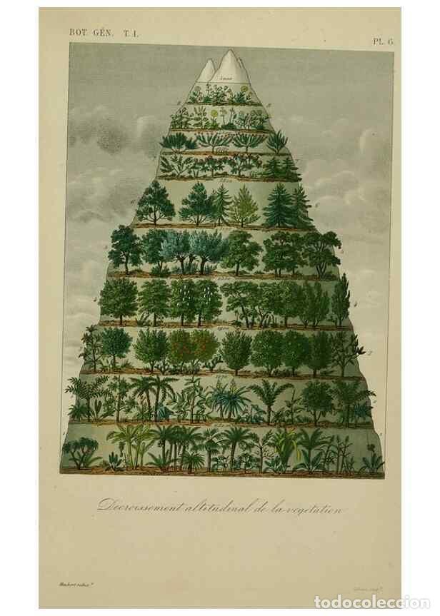 Collection Magazines and Newspapers: Reproducci&oacute;n/Reproduction 49583191961: Le R&egrave;gne v&eacute;g&eacute;tal;. Paris,L. Gu&eacute;rin,1870-72.. - R&eacute;veil, O.