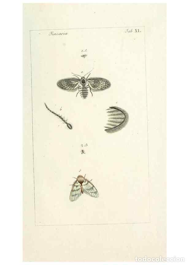 Collectionnisme de Revues et Journaux: Reproducci&oacute;n/Reproduction 49580393572: Genres des mouches dipt&egrave;res repr&eacute;sent&eacute;s en XLII. planches pro