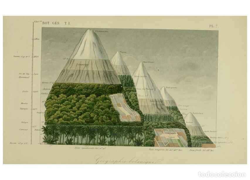 Collezionismo di Riviste e Giornali: Reproducci&oacute;n/Reproduction 49582696118: Le R&egrave;gne v&eacute;g&eacute;tal;. Paris,L. Gu&eacute;rin,1870-72.. - R&eacute;veil, O.