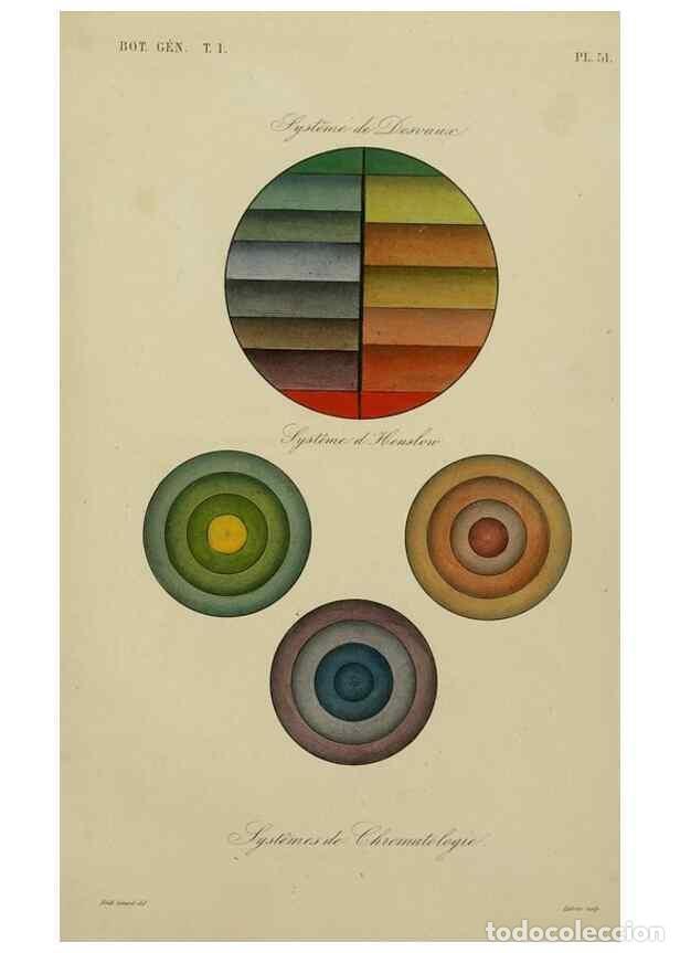 Collection Magazines and Newspapers: Reproducci&oacute;n/Reproduction 49583438557: Le R&egrave;gne v&eacute;g&eacute;tal;. Paris,L. Gu&eacute;rin,1870-72.. - R&eacute;veil, O.