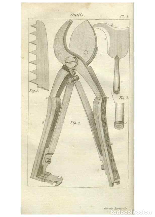 Collezionismo di Riviste e Giornali: Reproducci&oacute;n/Reproduction 49643034618: Revue horticole.. Paris :Librairie agricole de la maison rust