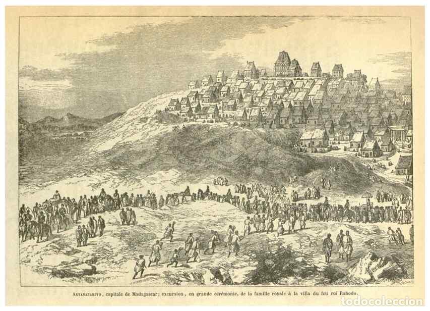 Collezionismo di Riviste e Giornali: Reproducci&oacute;n/Reproduction 49587855617: Flore des serres et des jardins de l'Europe. A Gand :chez Lou