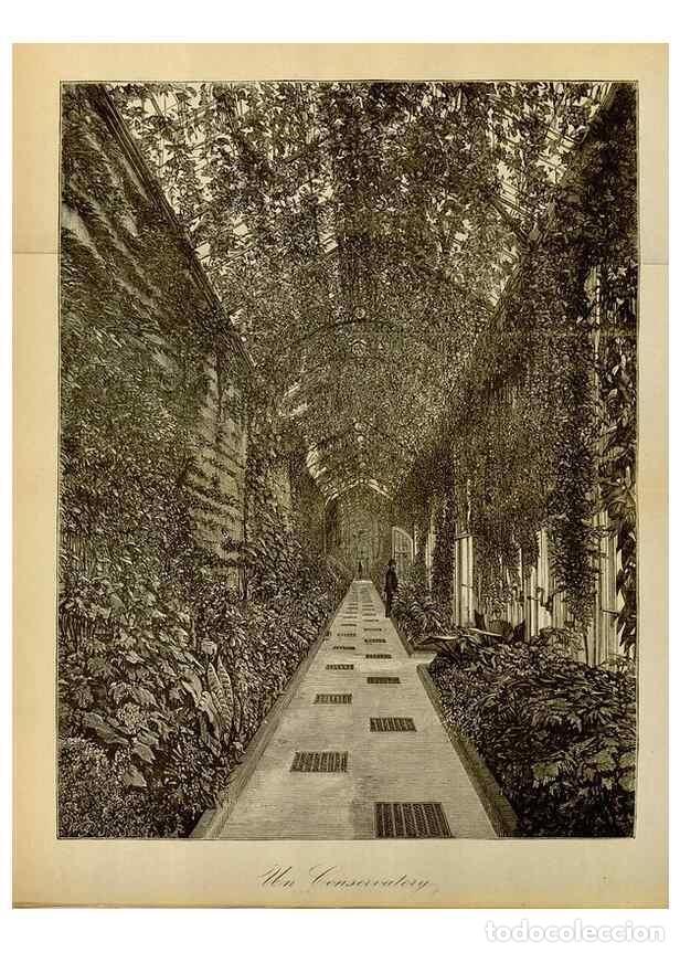 Sammeln von Zeitschriften und Zeitungen: Reproducci&oacute;n/Reproduction 49588260456: Flore des serres et des jardins de l'Europe. A Gand :chez Lou