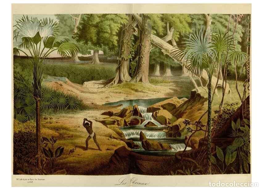 Collezionismo di Riviste e Giornali: Reproducci&oacute;n/Reproduction 49587767718: Flore des serres et des jardins de l'Europe. A Gand :chez Lou