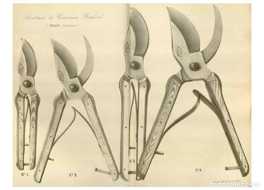 Collezionismo di Riviste e Giornali: Reproducci&oacute;n/Reproduction 49588509037: Flore des serres et des jardins de l'Europe. A Gand :chez Lou