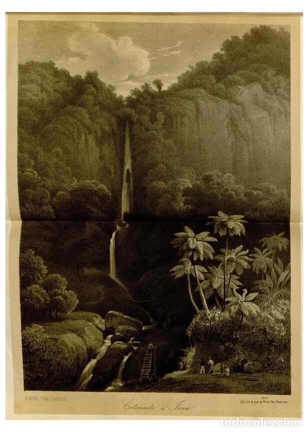 Collection Magazines and Newspapers: Reproducci&oacute;n/Reproduction 49588511612: Flore des serres et des jardins de l'Europe. A Gand :chez Lou