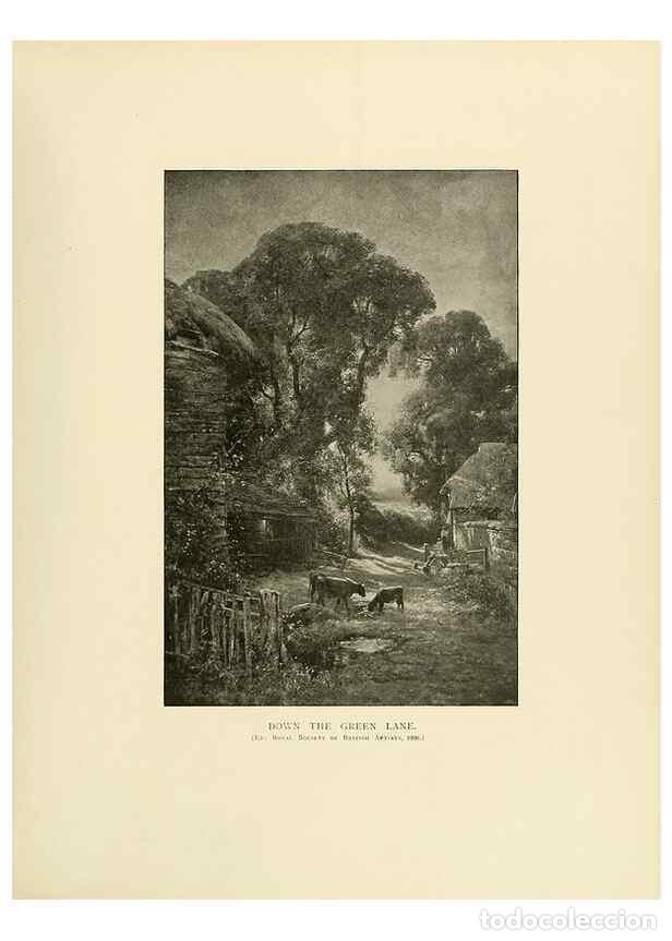 Colecionismo de Revistas e Jornais: Reproducci&oacute;n/Reproduction 49419877858: British trees /. London :Hutchinson,1907.. - Cole, Rex Vicat,