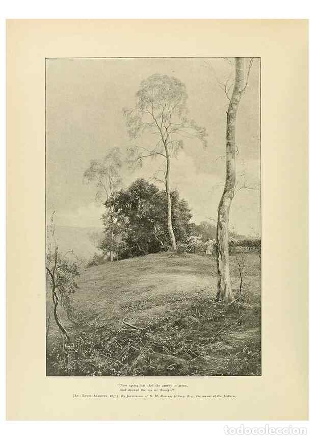 Collectionnisme de Revues et Journaux: Reproducci&oacute;n/Reproduction 49420520902: British trees /. London :Hutchinson,1907.. - Cole, Rex Vicat,