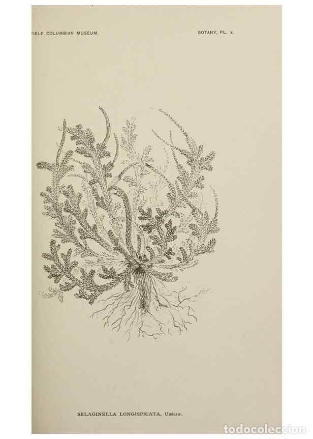 Colecionismo de Revistas e Jornais: Reproducci&oacute;n/Reproduction 49799286621: Publication.. Chicago. :Field Columbian Museum,1895-1909.. -