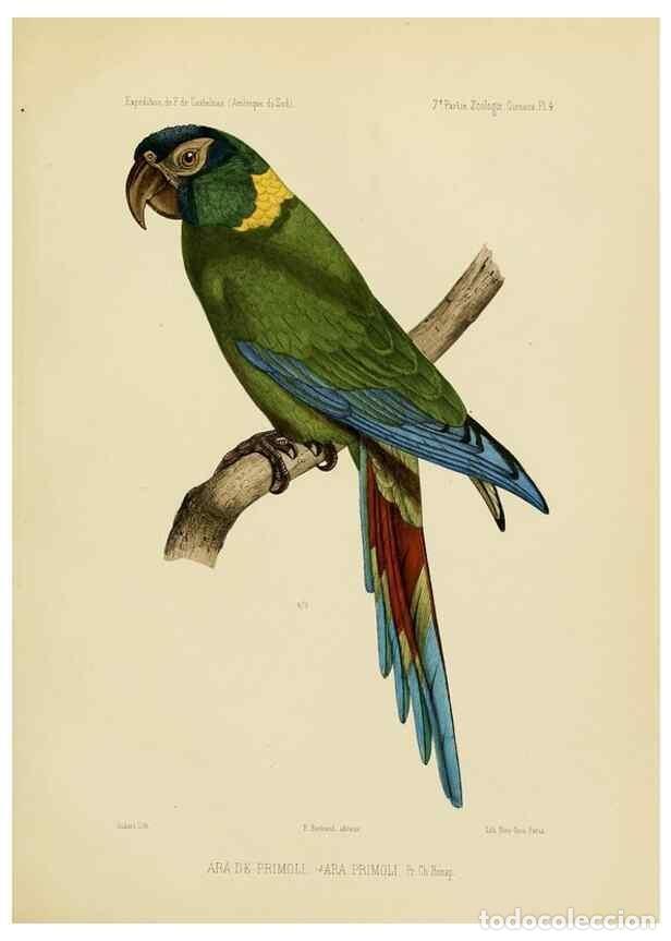 Coleccionismo de Revistas y Peri&oacute;dicos: Reproducci&oacute;n/Reproduction 49813225918: Exp&eacute;dition dans les parties centrales de l'Am&eacute;rique du Sud. P