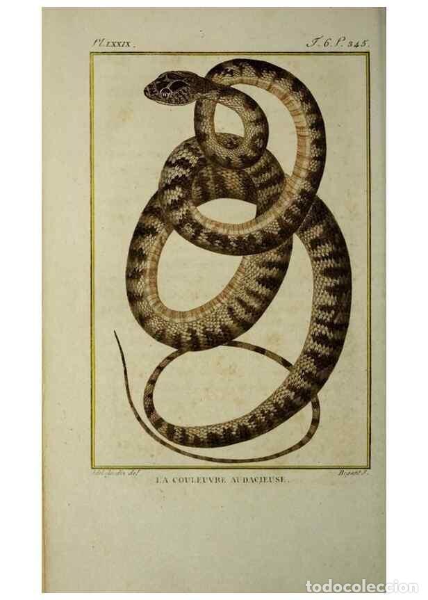 Coleccionismo de Revistas y Peri&oacute;dicos: Reproducci&oacute;n/Reproduction 49814025762: Histoire naturelle, g&eacute;n&eacute;rale et particuli&egrave;re, des reptiles :.