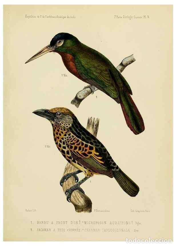 Coleccionismo de Revistas y Peri&oacute;dicos: Reproducci&oacute;n/Reproduction 49813765491: Exp&eacute;dition dans les parties centrales de l'Am&eacute;rique du Sud. P