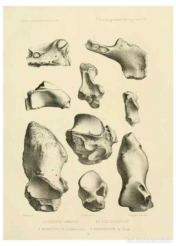 Coleccionismo de Revistas y Peri&oacute;dicos: Reproducci&oacute;n/Reproduction 49813761046: Exp&eacute;dition dans les parties centrales de l'Am&eacute;rique du Sud. P