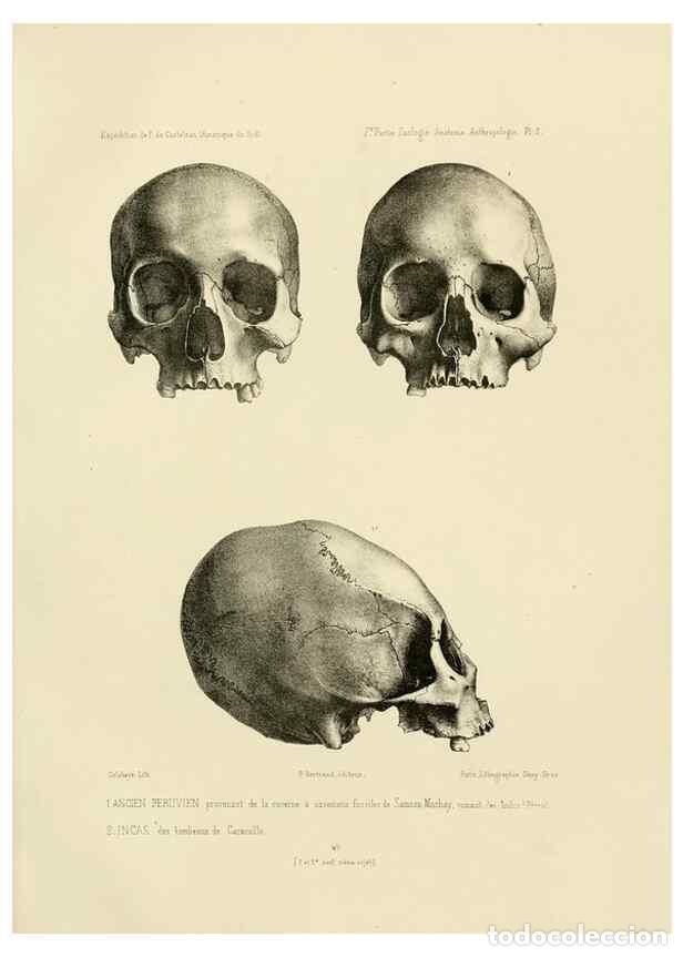 Coleccionismo de Revistas y Peri&oacute;dicos: Reproducci&oacute;n/Reproduction 49814068422: Exp&eacute;dition dans les parties centrales de l'Am&eacute;rique du Sud. P