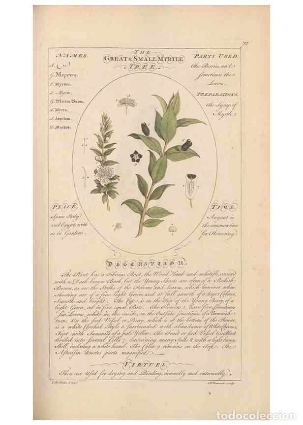 Sammeln von Zeitschriften und Zeitungen: Reproducci&oacute;n/Reproduction 49788077766: Botanicum medicinale :. London :Printed for J. Millan, opposi