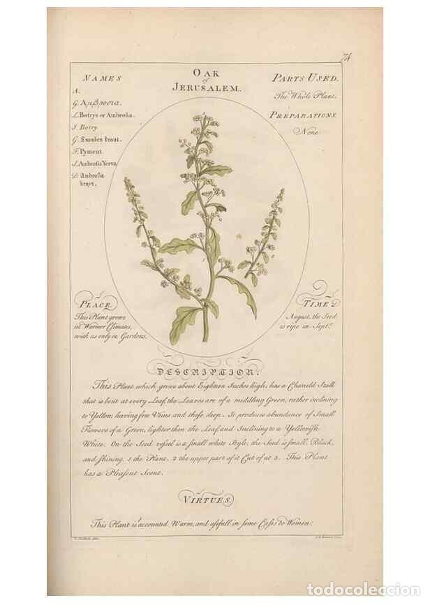 Sammeln von Zeitschriften und Zeitungen: Reproducci&oacute;n/Reproduction 49788078781: Botanicum medicinale :. London :Printed for J. Millan, opposi