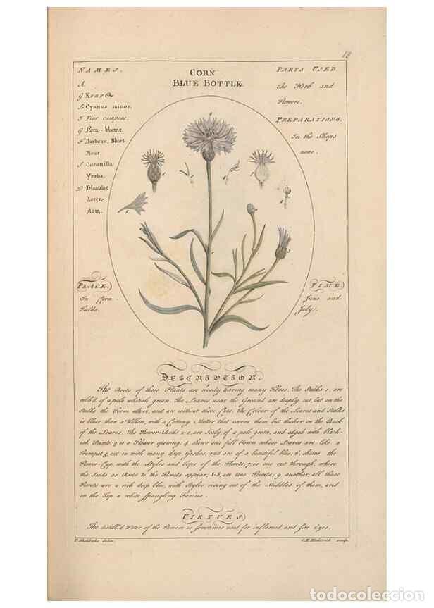 Coleccionismo de Revistas y Peri&oacute;dicos: Reproducci&oacute;n/Reproduction 49788386457: Botanicum medicinale :. London :Printed for J. Millan, opposi