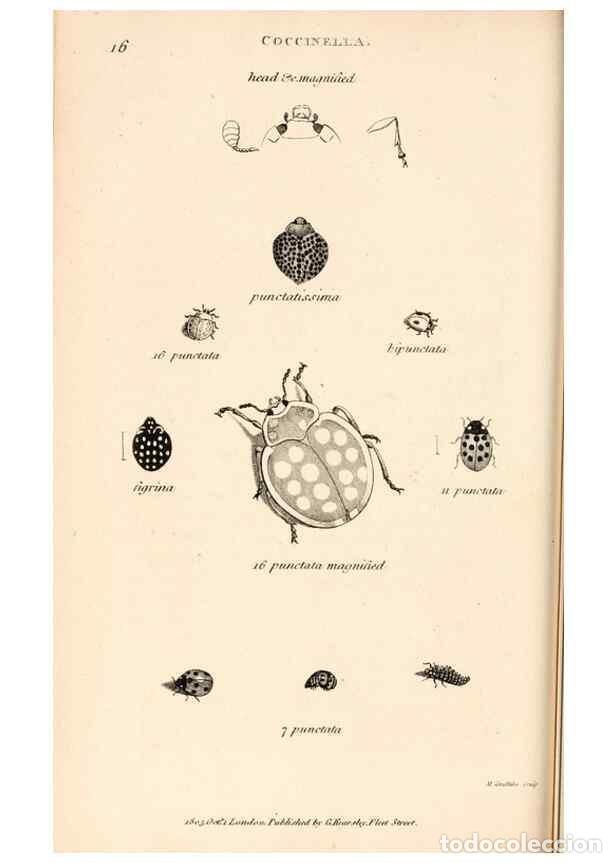 Collectionnisme de Revues et Journaux: Reproducci&oacute;n/Reproduction 49827202046: General zoology, or Systematic natural history. London,Printe