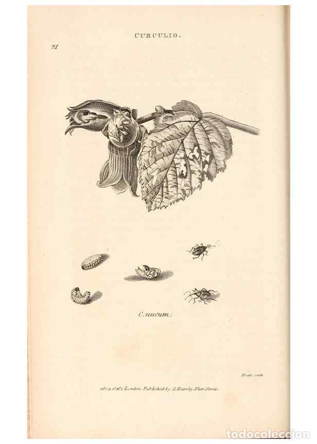Collectionnisme de Revues et Journaux: Reproducci&oacute;n/Reproduction 49826672528: General zoology, or Systematic natural history. London,Printe