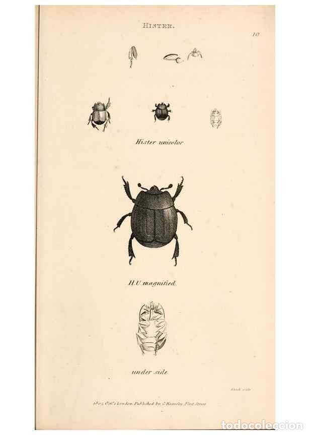 Collectionnisme de Revues et Journaux: Reproducci&oacute;n/Reproduction 49827513892: General zoology, or Systematic natural history. London,Printe