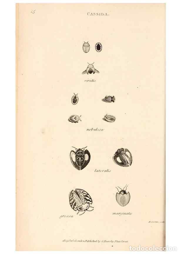 Collectionnisme de Revues et Journaux: Reproducci&oacute;n/Reproduction 49827515742: General zoology, or Systematic natural history. London,Printe