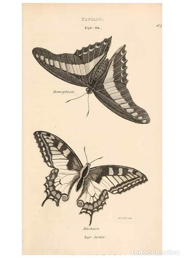 Collectionnisme de Revues et Journaux: Reproducci&oacute;n/Reproduction 49827217636: General zoology, or Systematic natural history. London,Printe