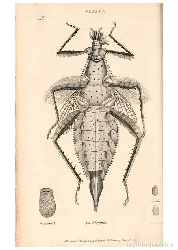 Collectionnisme de Revues et Journaux: Reproducci&oacute;n/Reproduction 49827211901: General zoology, or Systematic natural history. London,Printe