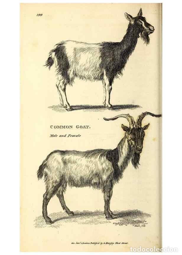 Collectionnisme de Revues et Journaux: Reproducci&oacute;n/Reproduction 49826538421: General zoology, or Systematic natural history. London,Printe