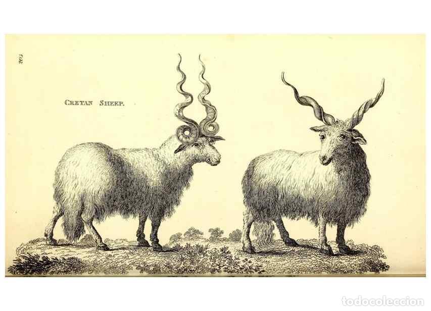 Collectionnisme de Revues et Journaux: Reproducci&oacute;n/Reproduction 49826006453: General zoology, or Systematic natural history. London,Printe