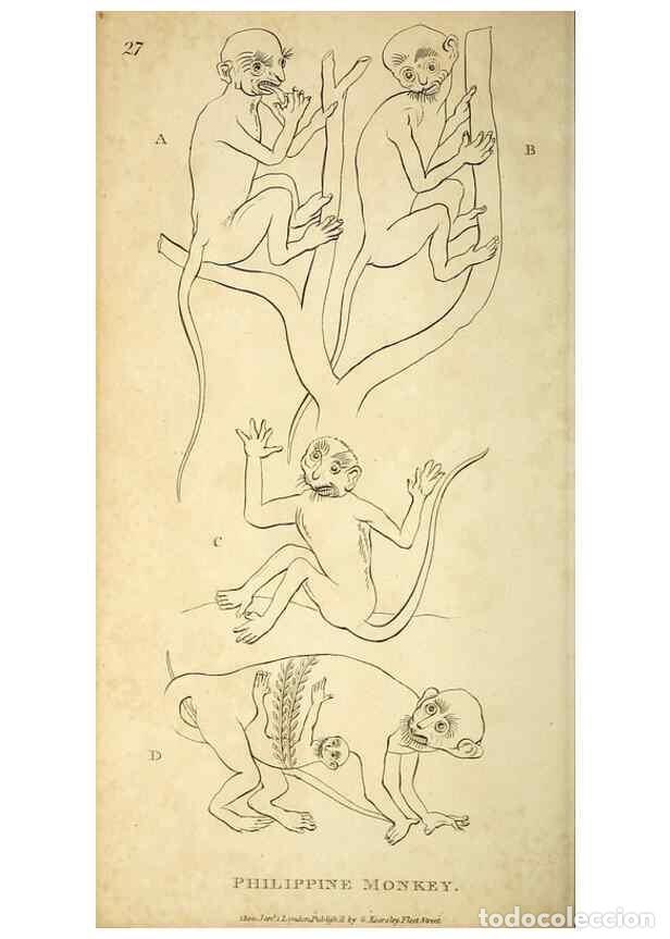 Collection Magazines and Newspapers: Reproducci&oacute;n/Reproduction 49826726157: General zoology, or Systematic natural history. London,Printe