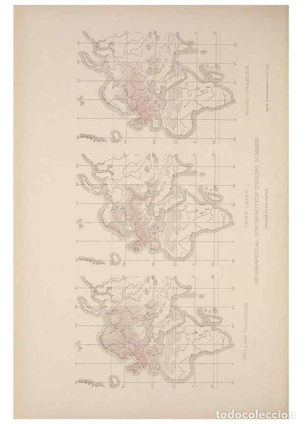 Sammeln von Zeitschriften und Zeitungen: Reproducci&oacute;n/Reproduction 49716862956: The British warblers :. London :R.H. Porter ...,1907-1914.. -