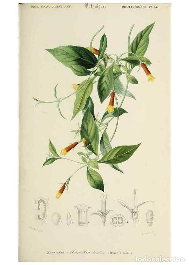 Sammeln von Zeitschriften und Zeitungen: Reproducci&oacute;n/Reproduction 49724224918: Dictionnaire universel d'histoire naturelle :. Paris :Chez le