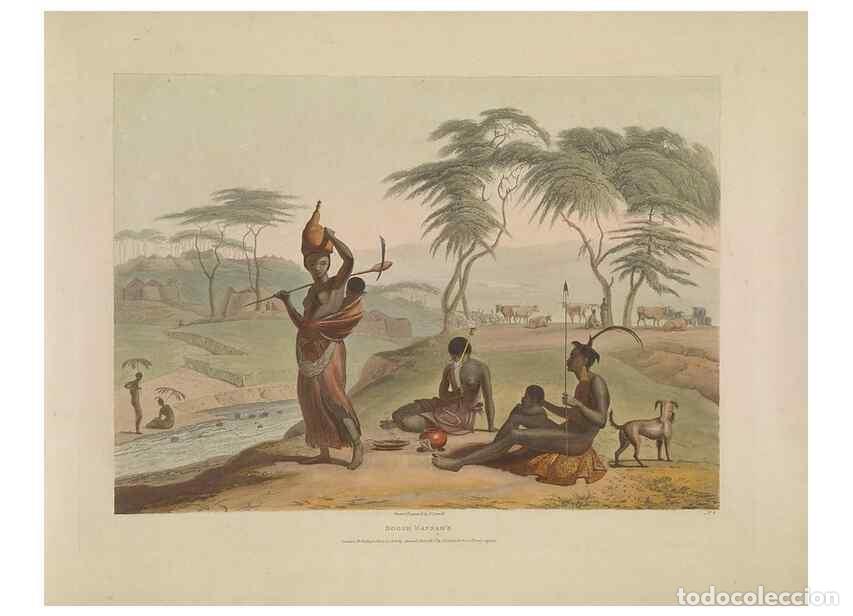 Collection Magazines and Newspapers: Reproducci&oacute;n/Reproduction 49753243516: [African scenery and animals]. London,1804-05. - Daniell, Sam