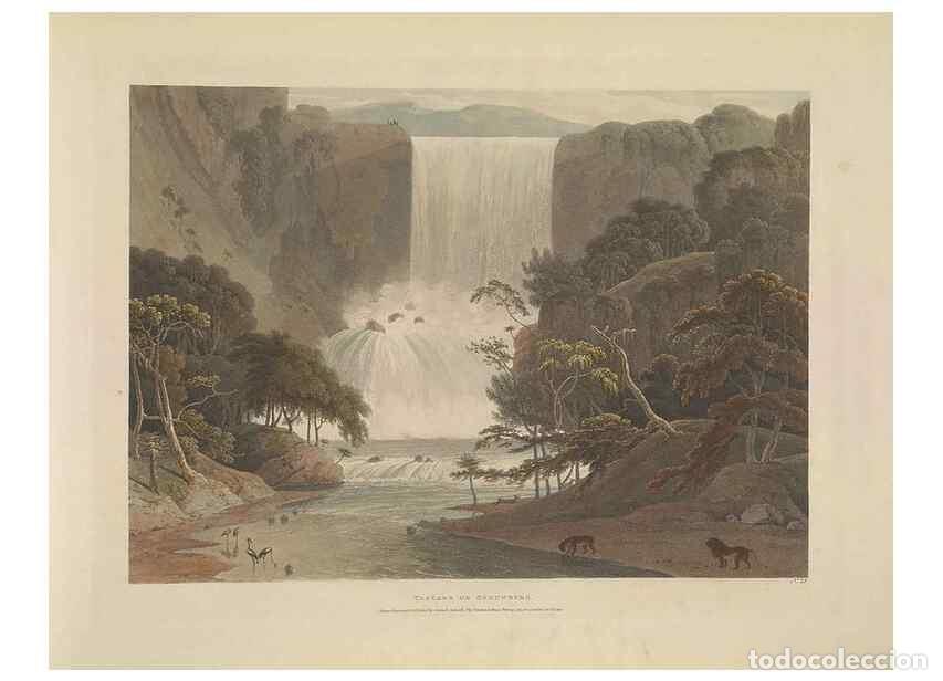 Sammeln von Zeitschriften und Zeitungen: Reproducci&oacute;n/Reproduction 49753580252: [African scenery and animals]. London,1804-05. - Daniell, Sam