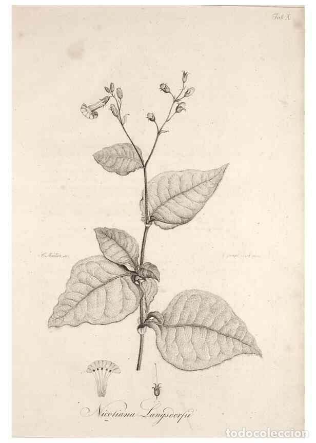 Sammeln von Zeitschriften und Zeitungen: Reproducci&oacute;n/Reproduction 49579205862: Horae physicae Berolinenses :. Bonnae :Adolphi Marcus,1820..