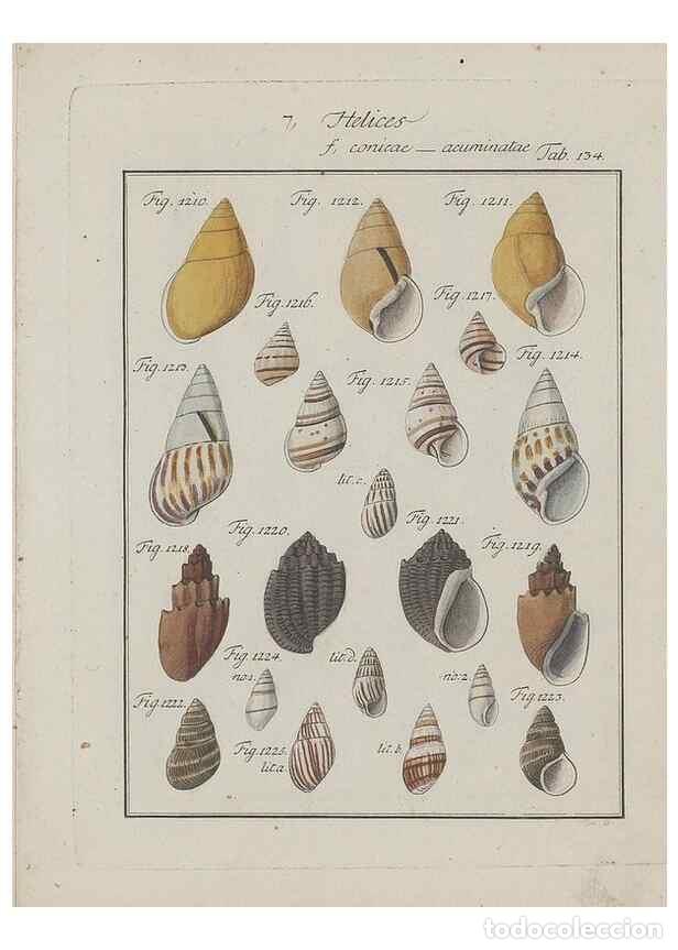 Colecionismo de Revistas e Jornais: Reproducci&oacute;n/Reproduction 49579293707: Abhandlung von den Land = und Flu&szlig;schnecken, oder von solchen